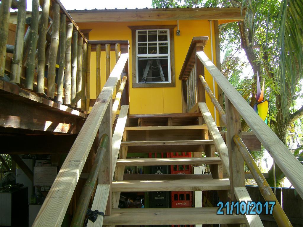 The Funky Dodo Backpackers Hostel Hopkins Kültér fotó