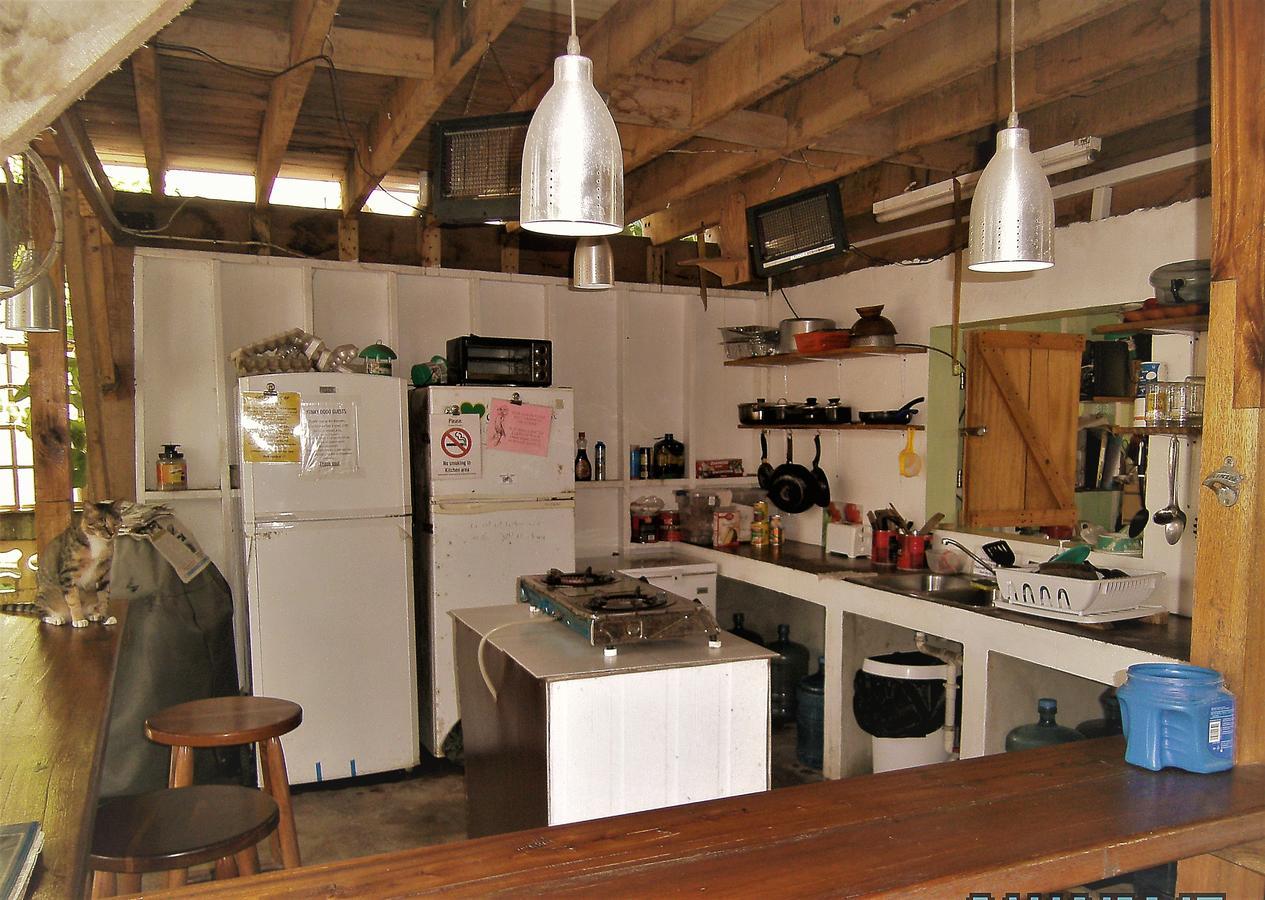 The Funky Dodo Backpackers Hostel Hopkins Kültér fotó
